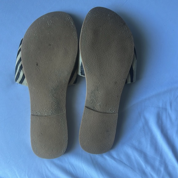 Coconuts by Matisse - Picture 2 of 2